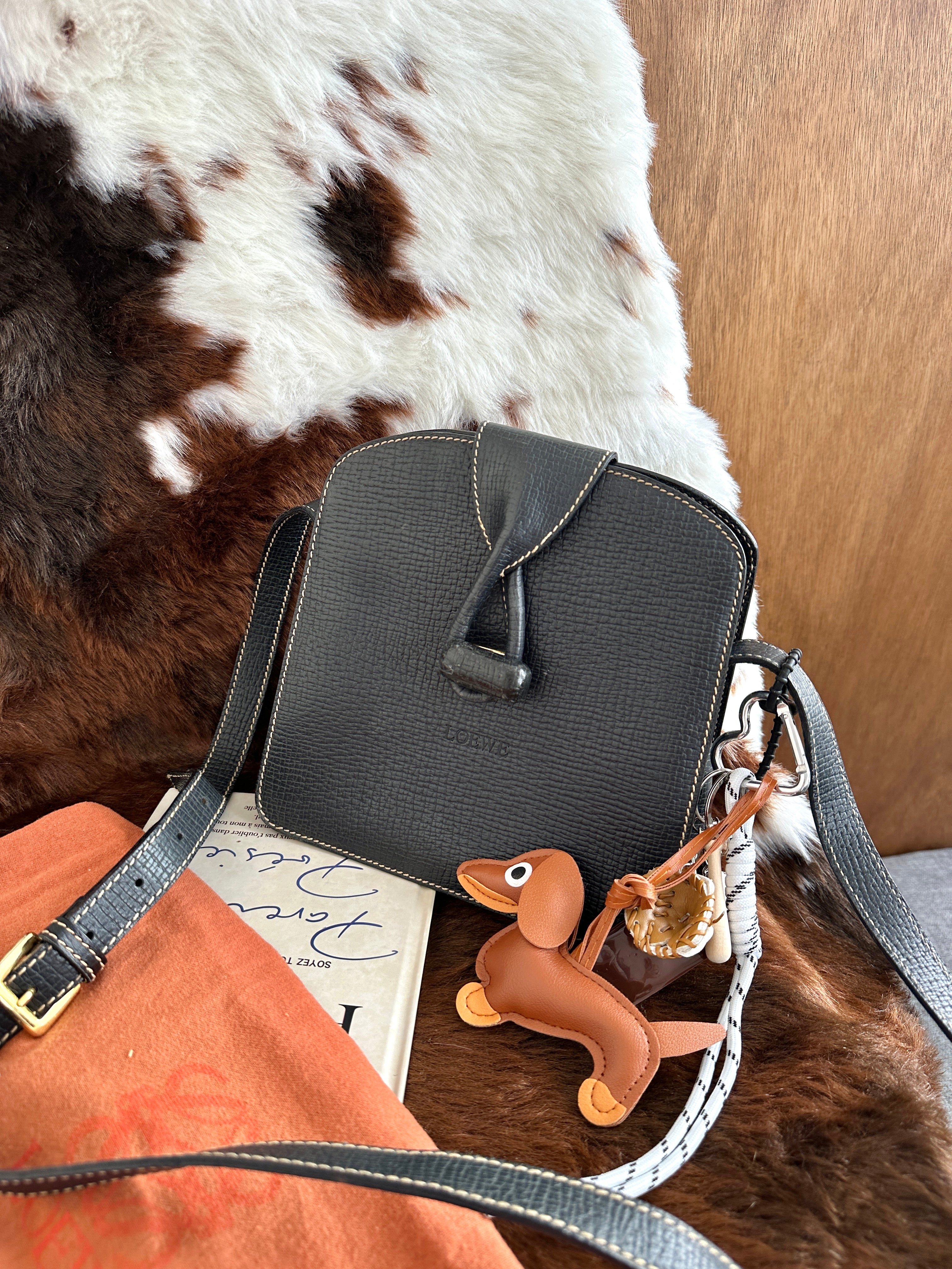 Loewe Leaf Turnlock Mini Box Bag 🖤😻｜Leaf Turnlock Detail × Mini