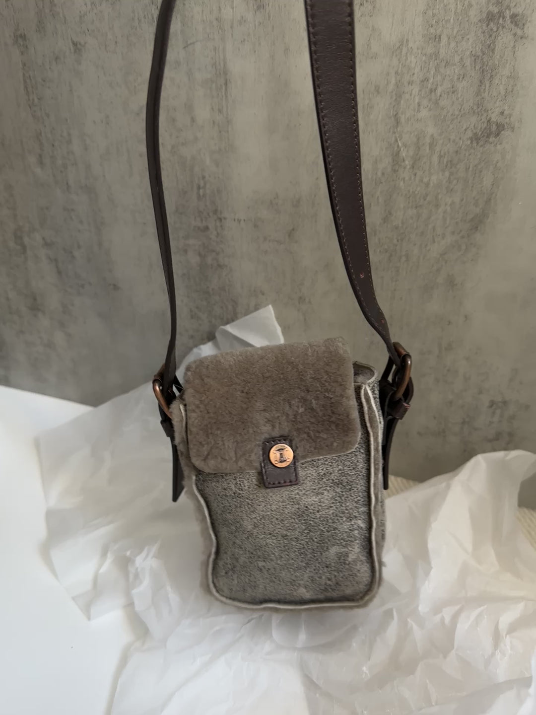 Celine Mini Shearling Triomphe Bag 🩶✨ | Cozy Luxury in the Cutest Form