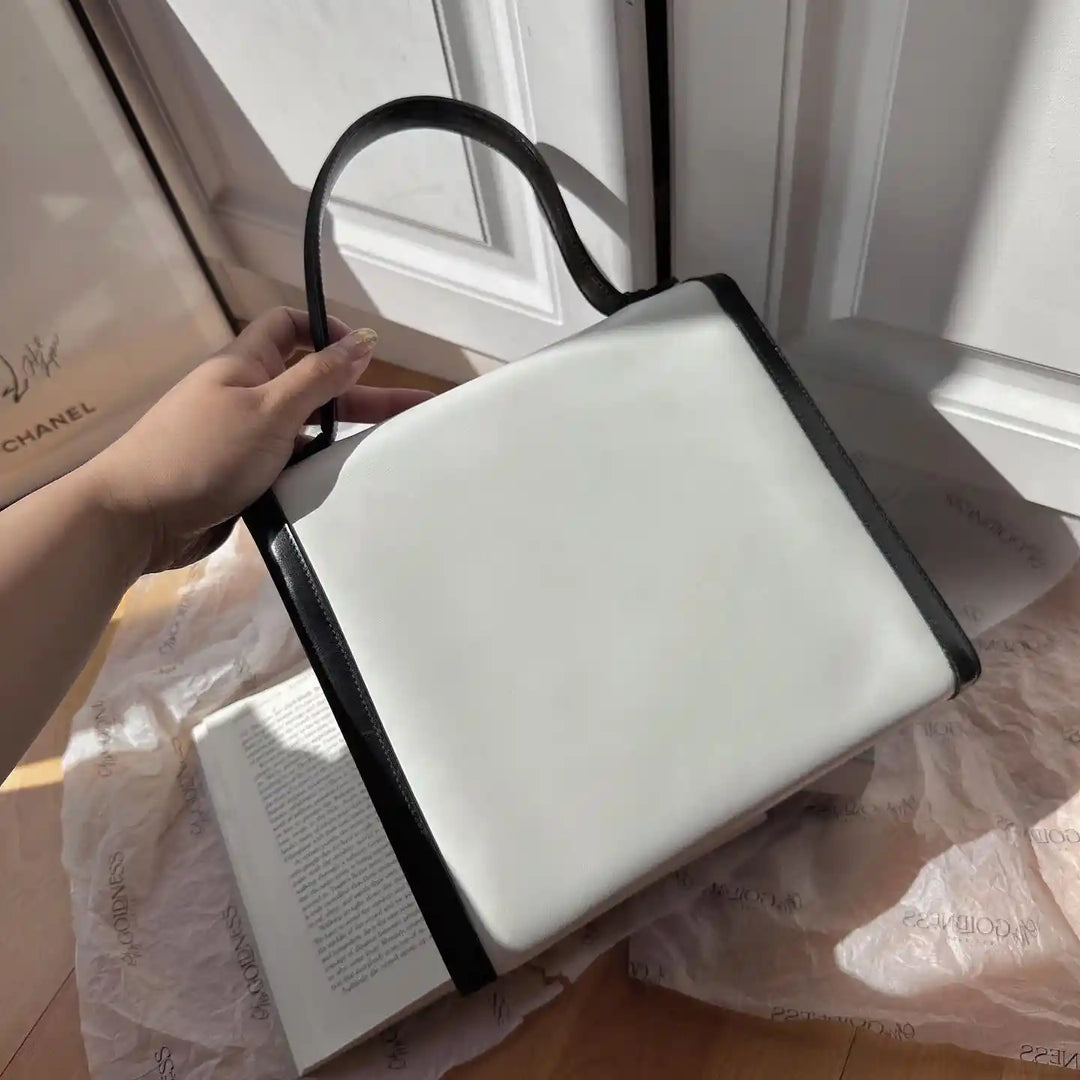 CELINE Panda-Color Triumph Silver Buckle Top Handle Bag 🐼｜Rare Black & White Combination