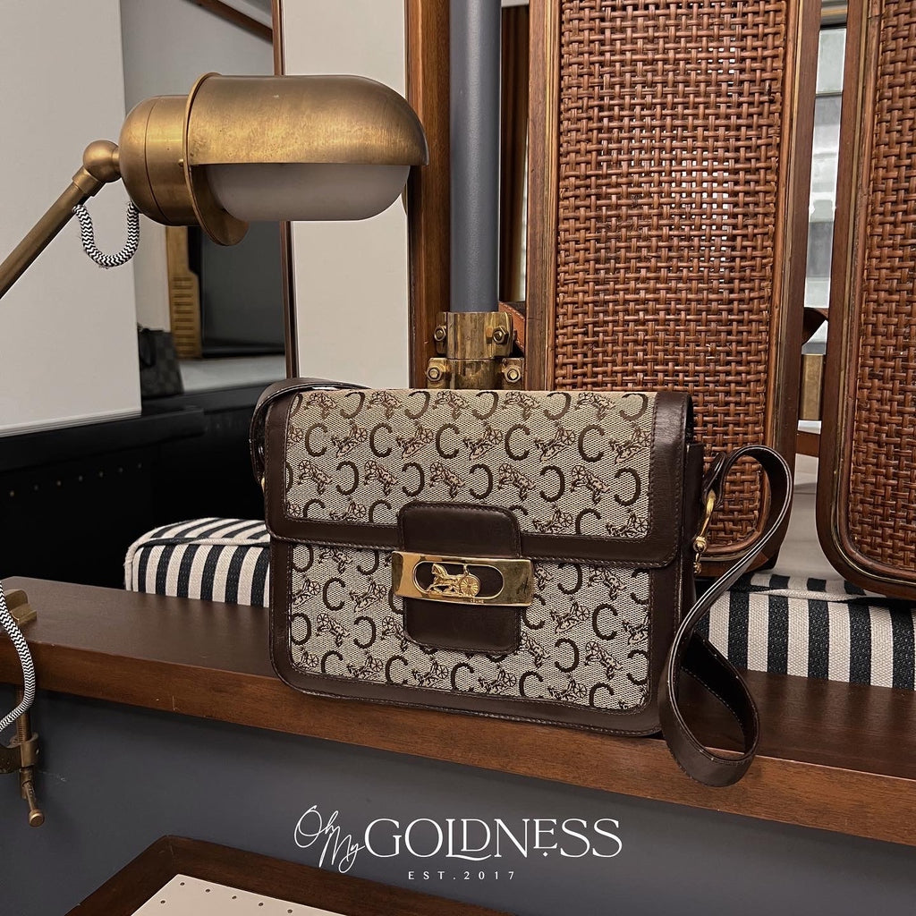 CELINE Monogram Carriage Buckle Shoulder Bag with Wallet｜Vintage Sophistication × Matching Set Charm 🤎✨