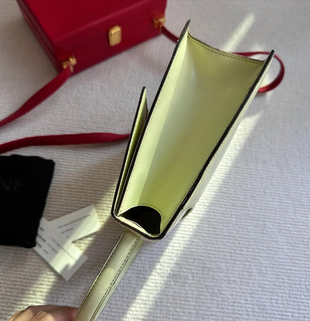 CELINE Mint Green Mini Turnlock Kelly（Special Color）｜Rare Gem for the Modern Collector 🍏✨