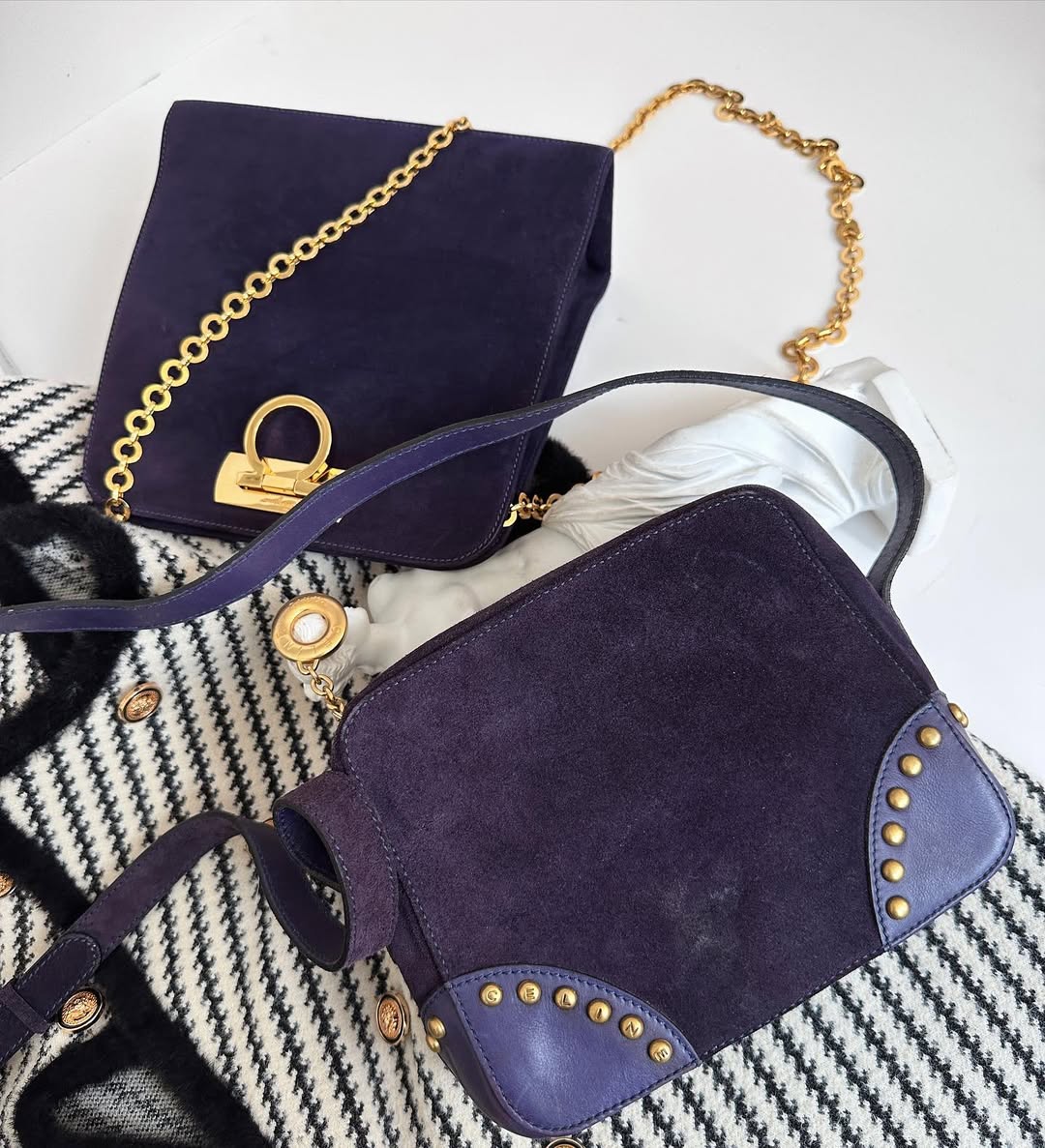 CELINE Purple Suede Vintage Studded Camera Bag｜Rare Charm with Golden Details 💜🦄