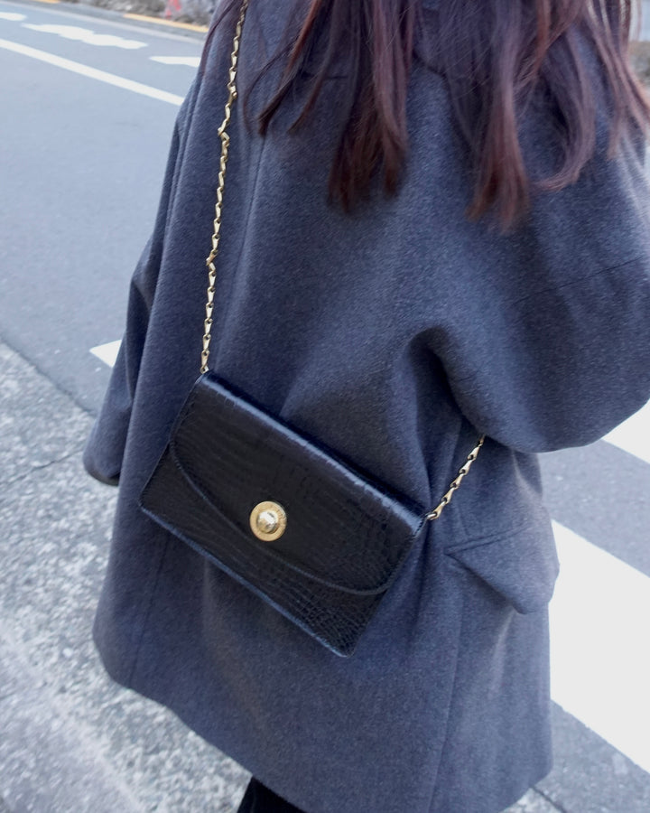 CELINE Planet Crocodile Leather Crossbody 🖤🌍｜Gold Planet Lock × Fishbone Chain × Rare Exotic