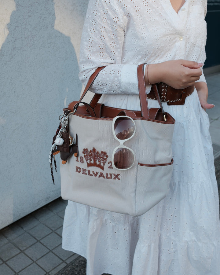 Delvaux Canvas & Leather Tote 🤎✨ 2-Way Carry