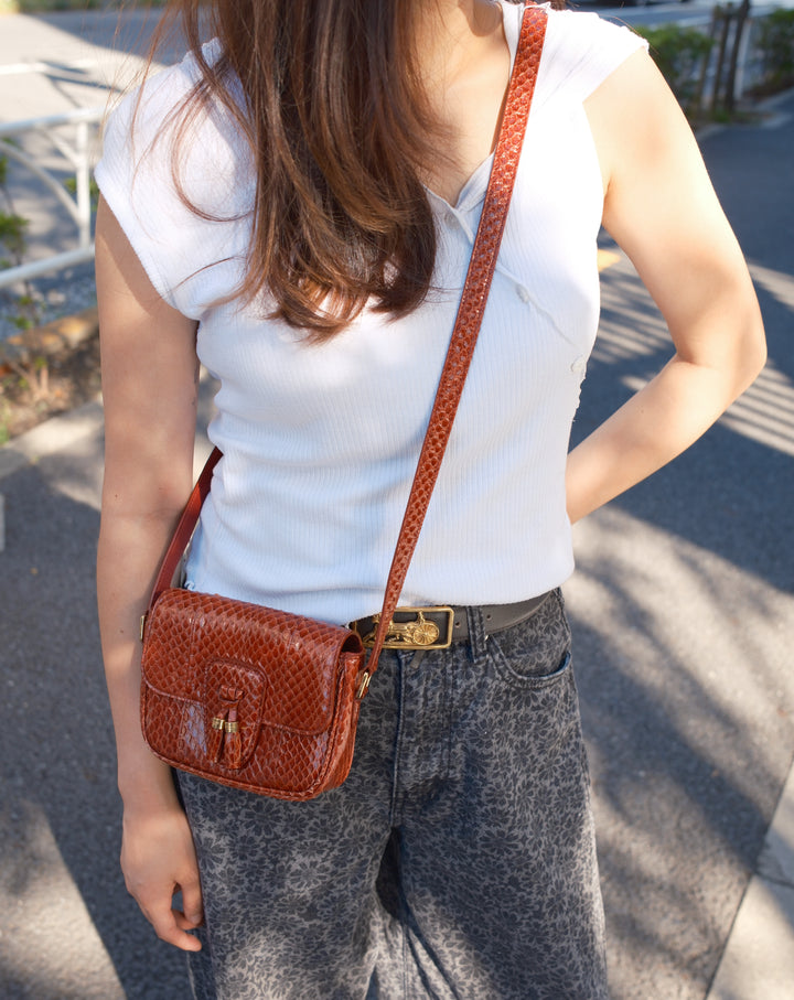 Celine Python Mini Crossbody ❤️✨｜Burgundy Python × Vintage Tassel Detail × Compact Silhouette