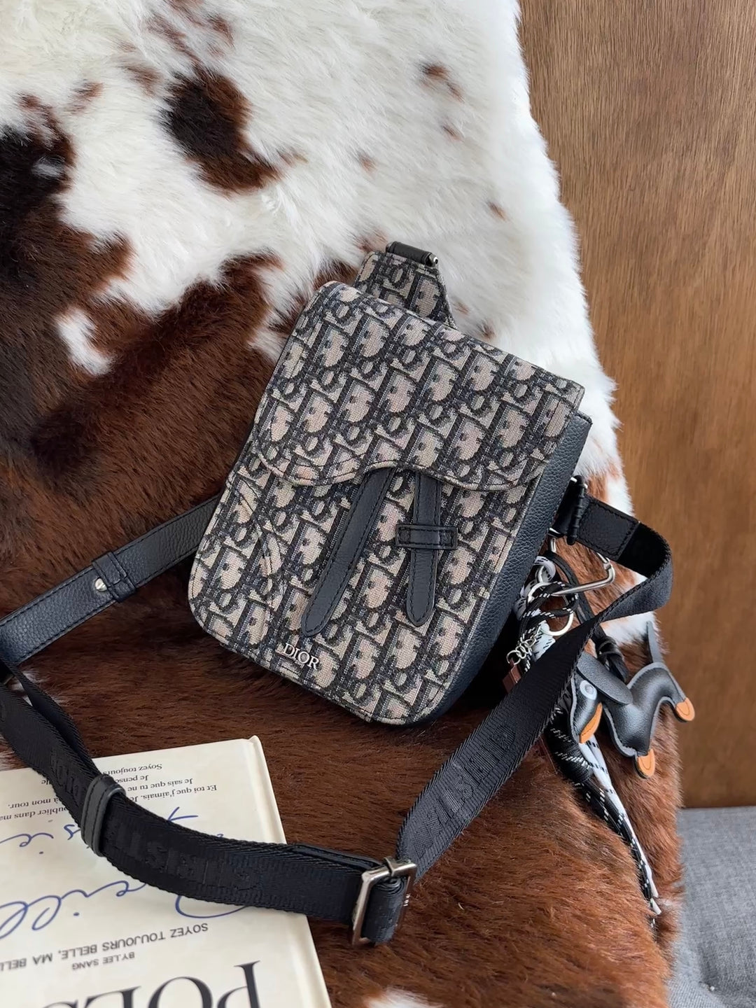 Dior Oblique Saddle Camera Bag 💙🩶｜Iconic Oblique Canvas・Unisex Design・Modern Classic