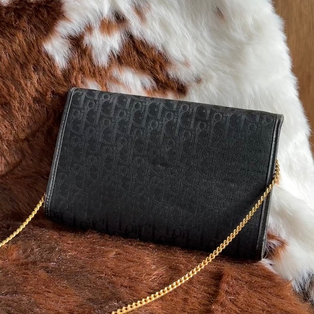 Dior Oblique Chain Shoulder Bag 🖤｜Iconic Oblique Canvas × Elegant Gold Chain × Lightweight Everyday Style