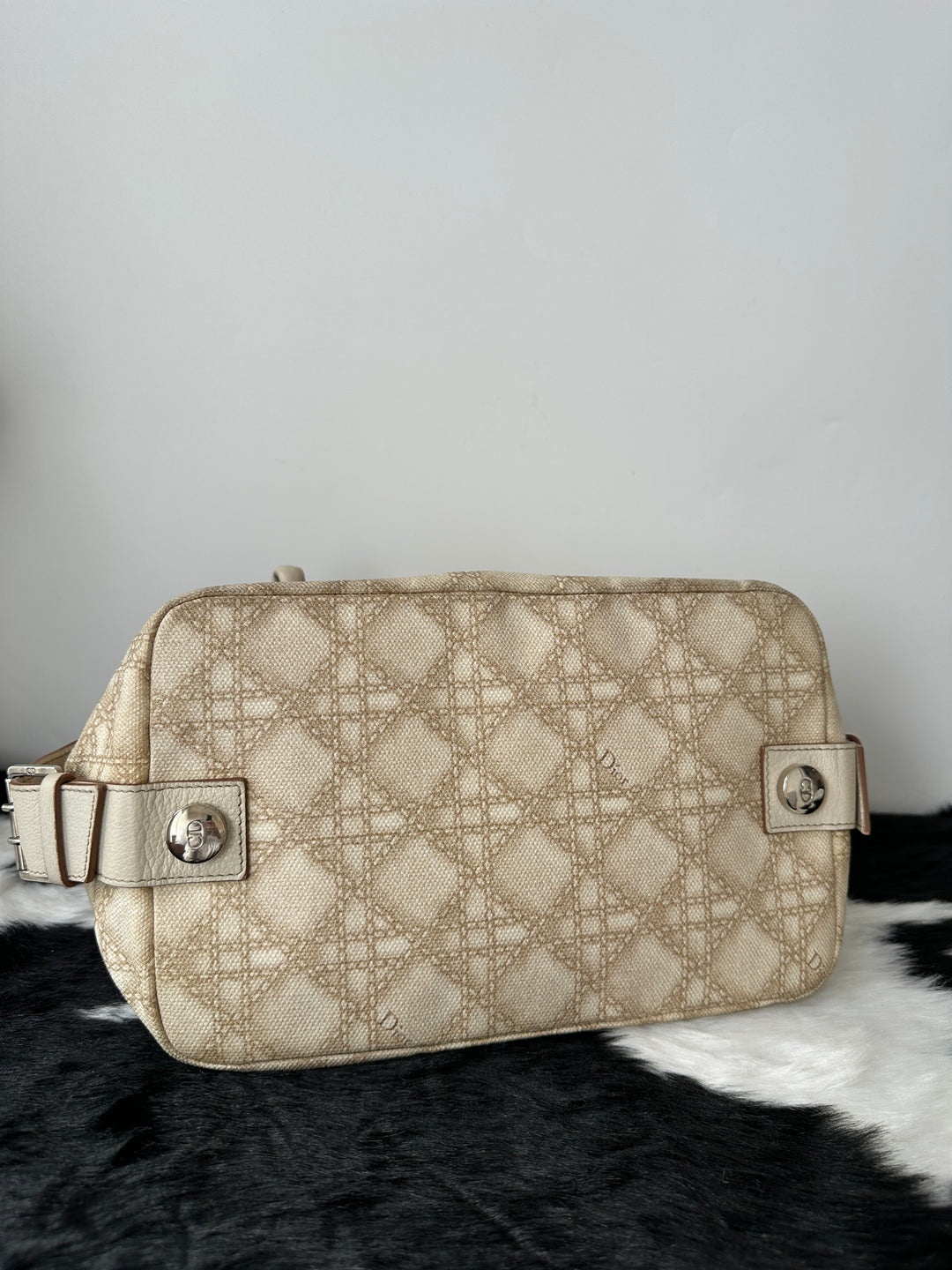 Lady Dior Vintage PVC Tote 🤎✨ | Retro-Chic, Lightweight & Surprisingly Practical