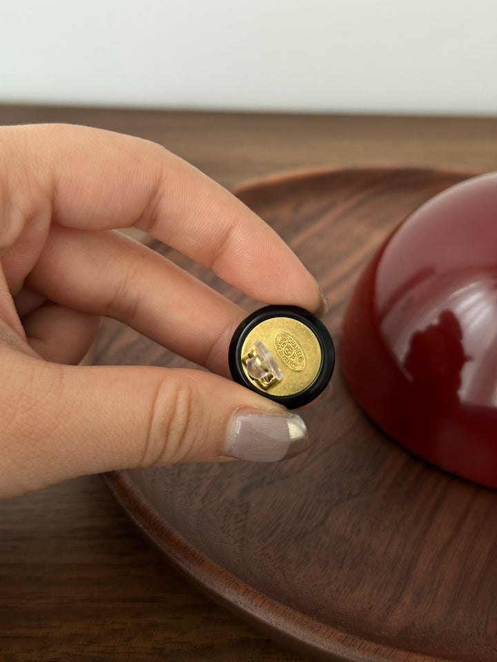 DIOR Crystal Logo Earrings – Sparkling Letter Design × Chic & Versatile ✨