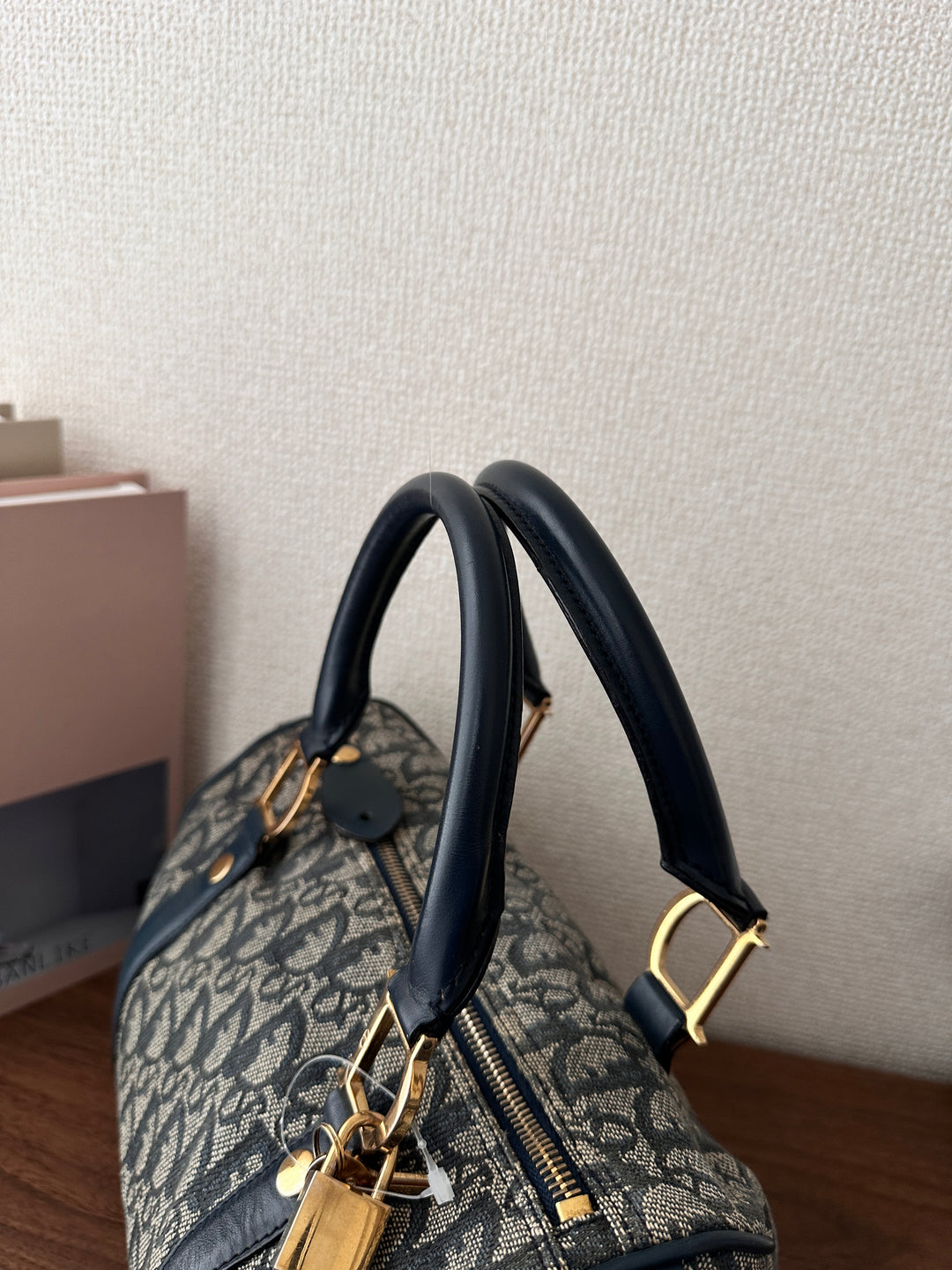DIOR Monogram Boston 25 Bag 💙✨ Rare Small Size