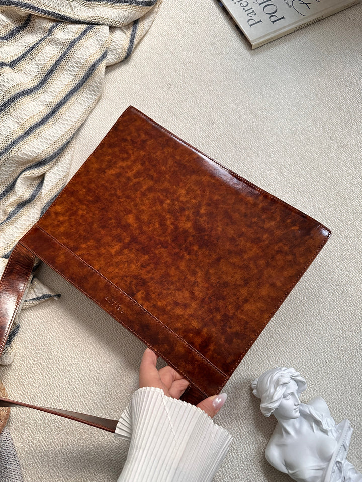 CELINE Silhouette Horse Carriage Hobo Box Bag 🤎