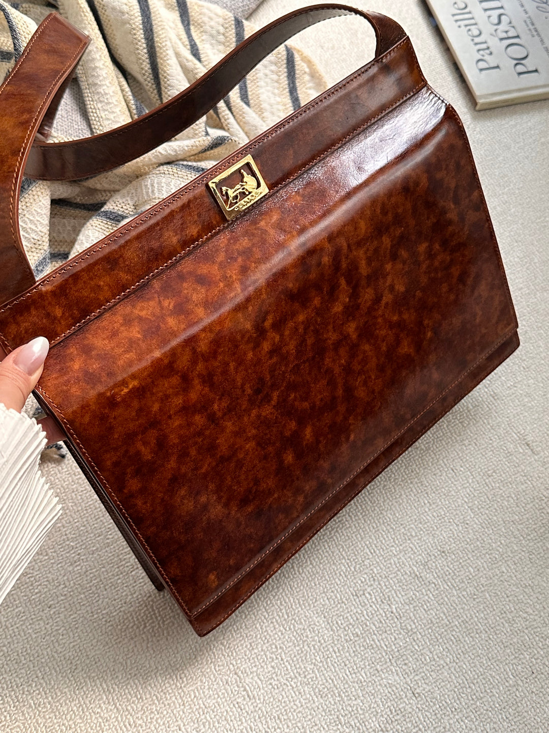 CELINE Silhouette Horse Carriage Hobo Box Bag 🤎