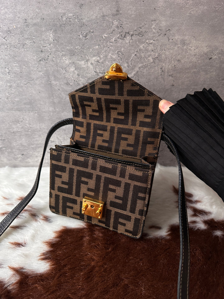 Fendi Mini FF Monogram Box Crossbody Bag 🤎｜Rare Find｜Gold Lock｜Collectible Mini Size