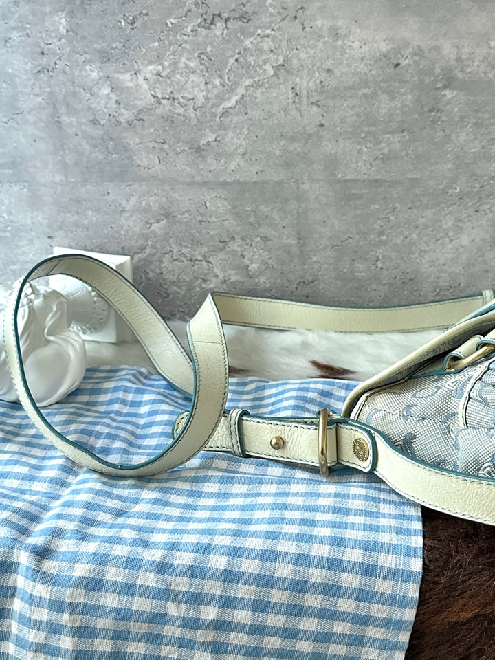 CELINE Vintage Triomphe Shoulder Bag 🩵✨｜Sky Blue Monogram