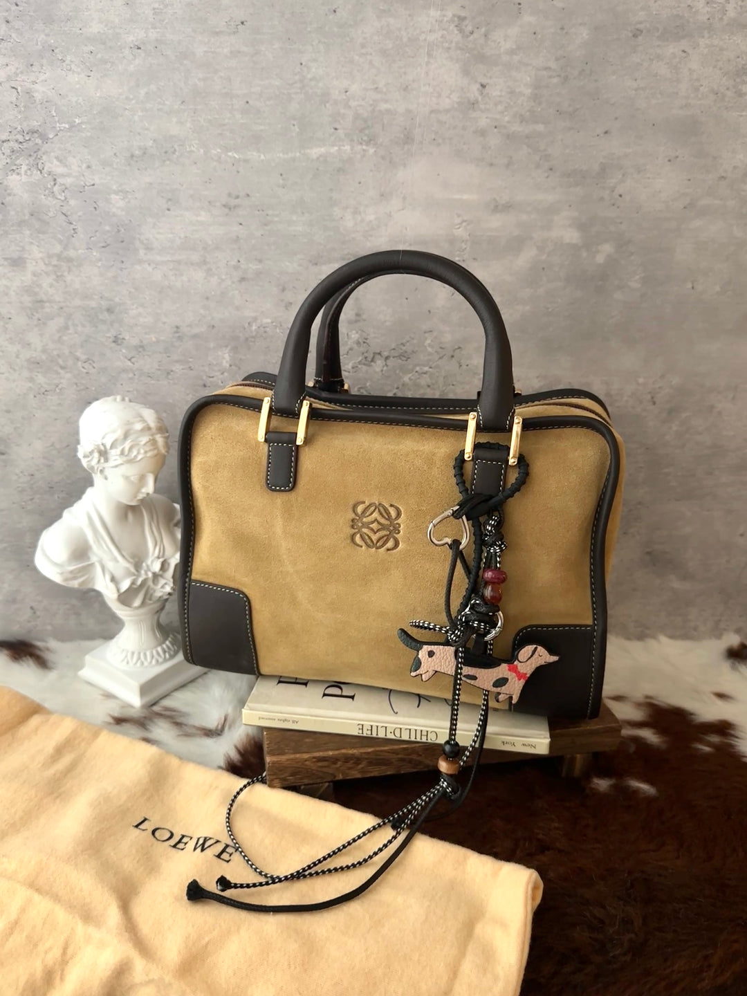 LOEWE Amazona Suede Bag 🤎🖤｜Teddy Bear Tones × Suede Leather × Full Set