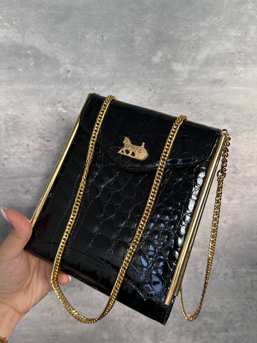 CELINE Crocodile Leather Horse Carriage Chain Bag ✨｜Rare, Elegant & Collectible Icon