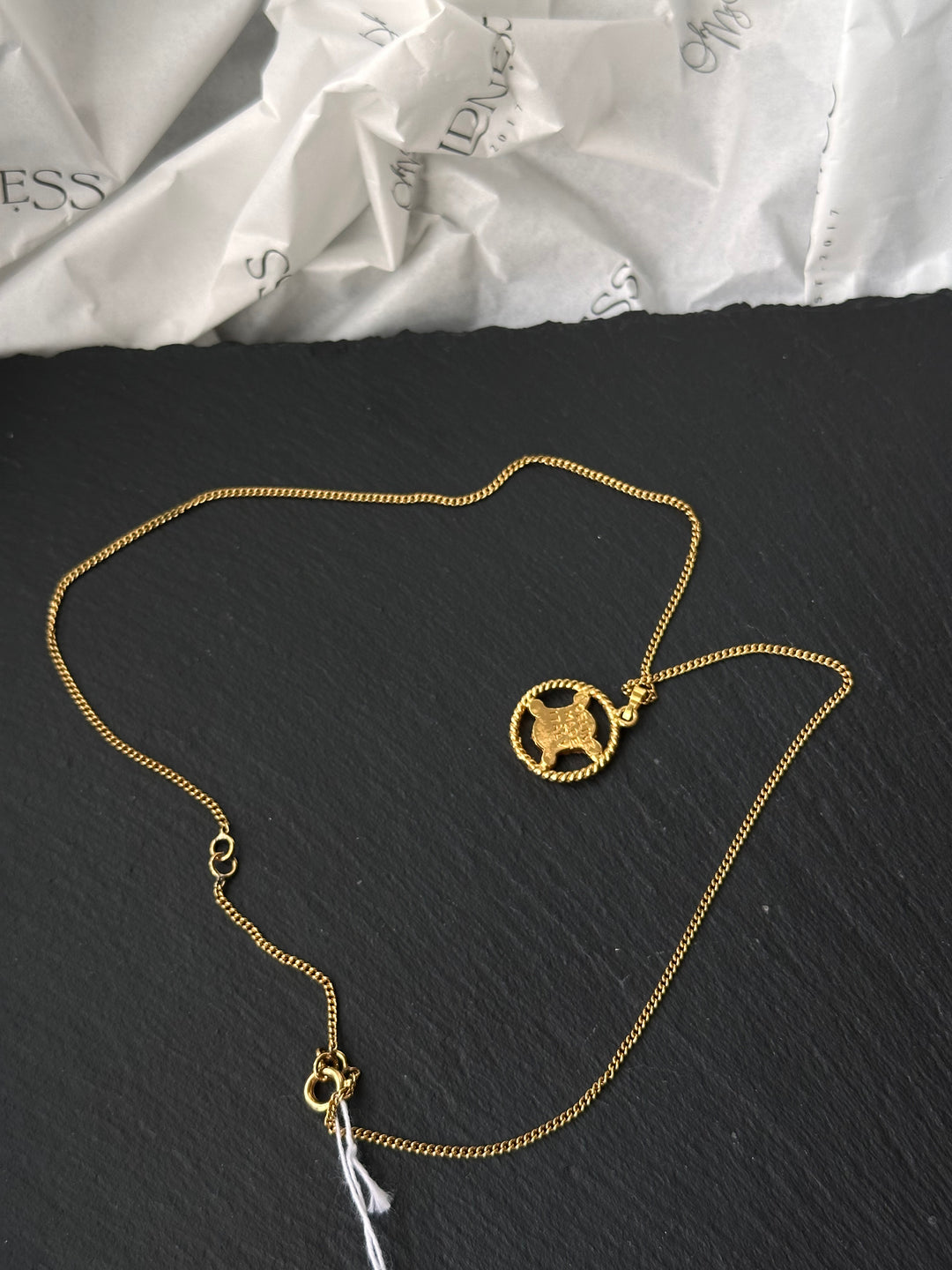 CELINE Triomphe Crystal Medallion Necklace（Gold）｜Iconic Heritage ✨🤍