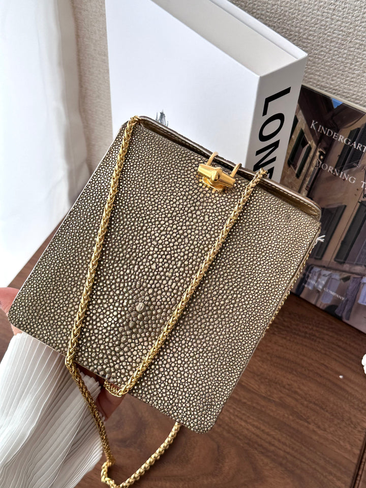 CELINE Golden Stingray Leather Chain Bag｜Collector’s Luxe Treasure ✨🤎