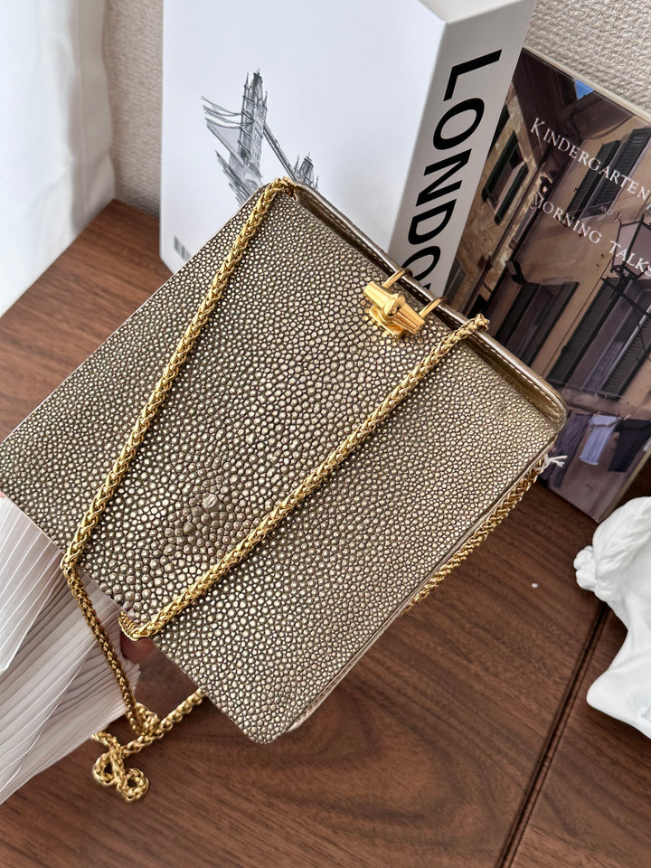 CELINE Golden Stingray Leather Chain Bag｜Collector’s Luxe Treasure ✨🤎