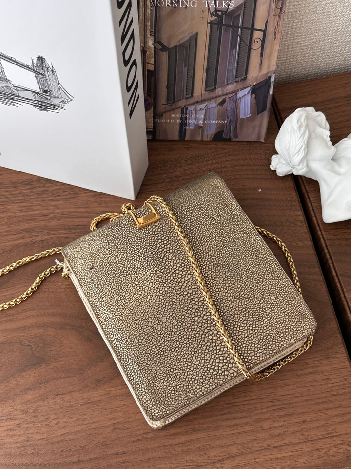 CELINE Golden Stingray Leather Chain Bag｜Collector’s Luxe Treasure ✨🤎