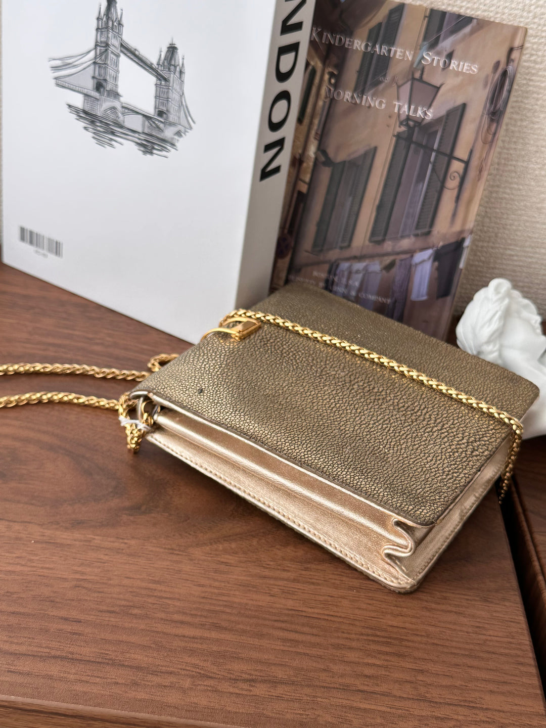 CELINE Golden Stingray Leather Chain Bag｜Collector’s Luxe Treasure ✨🤎
