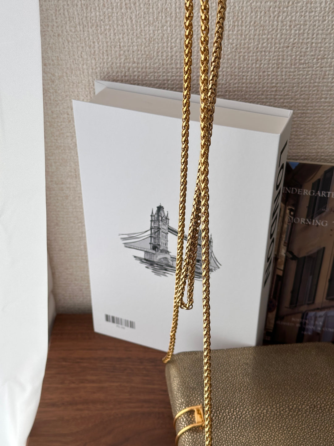 CELINE Golden Stingray Leather Chain Bag｜Collector’s Luxe Treasure ✨🤎