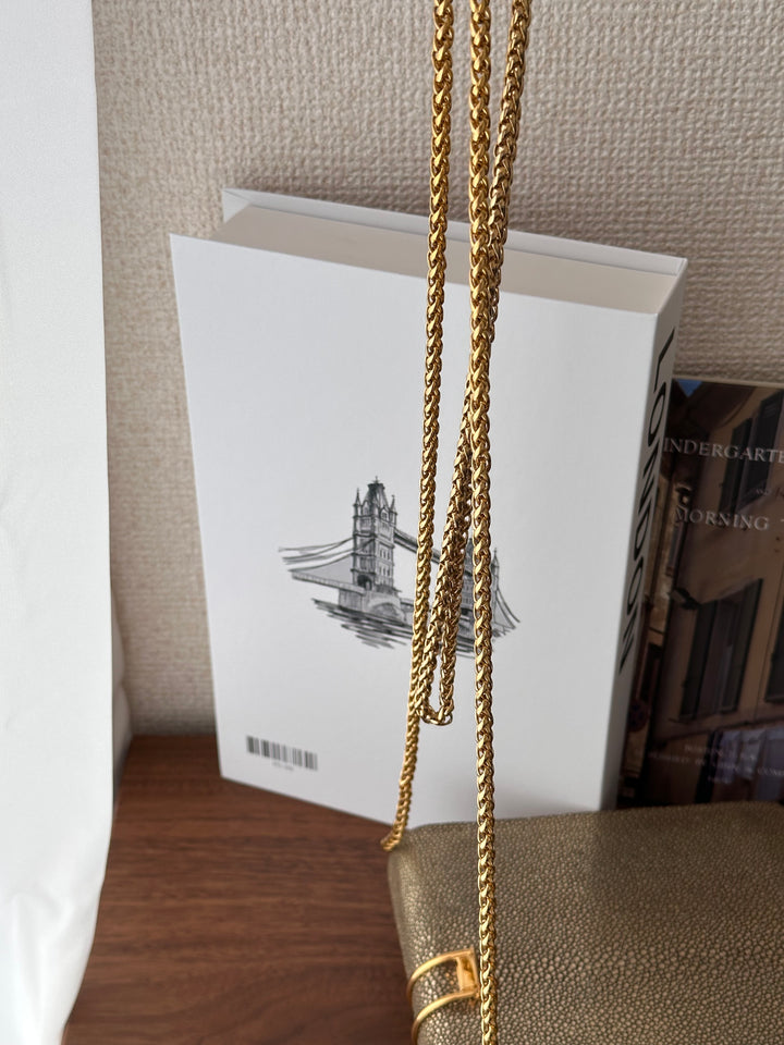 CELINE Golden Stingray Leather Chain Bag｜Collector’s Luxe Treasure ✨🤎