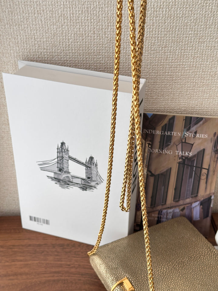 CELINE Golden Stingray Leather Chain Bag｜Collector’s Luxe Treasure ✨🤎