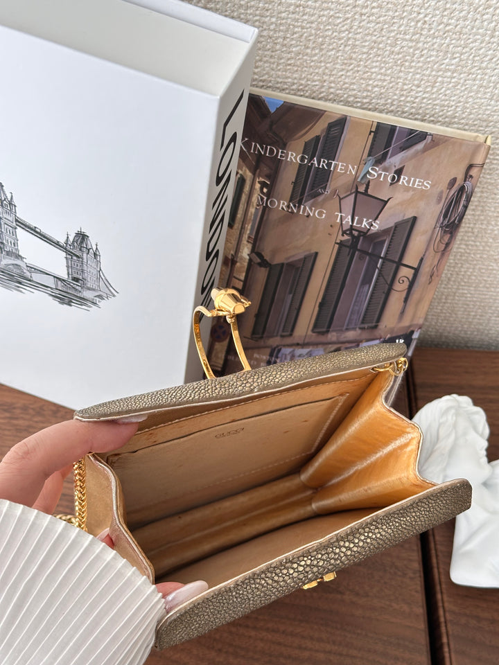 CELINE Golden Stingray Leather Chain Bag｜Collector’s Luxe Treasure ✨🤎