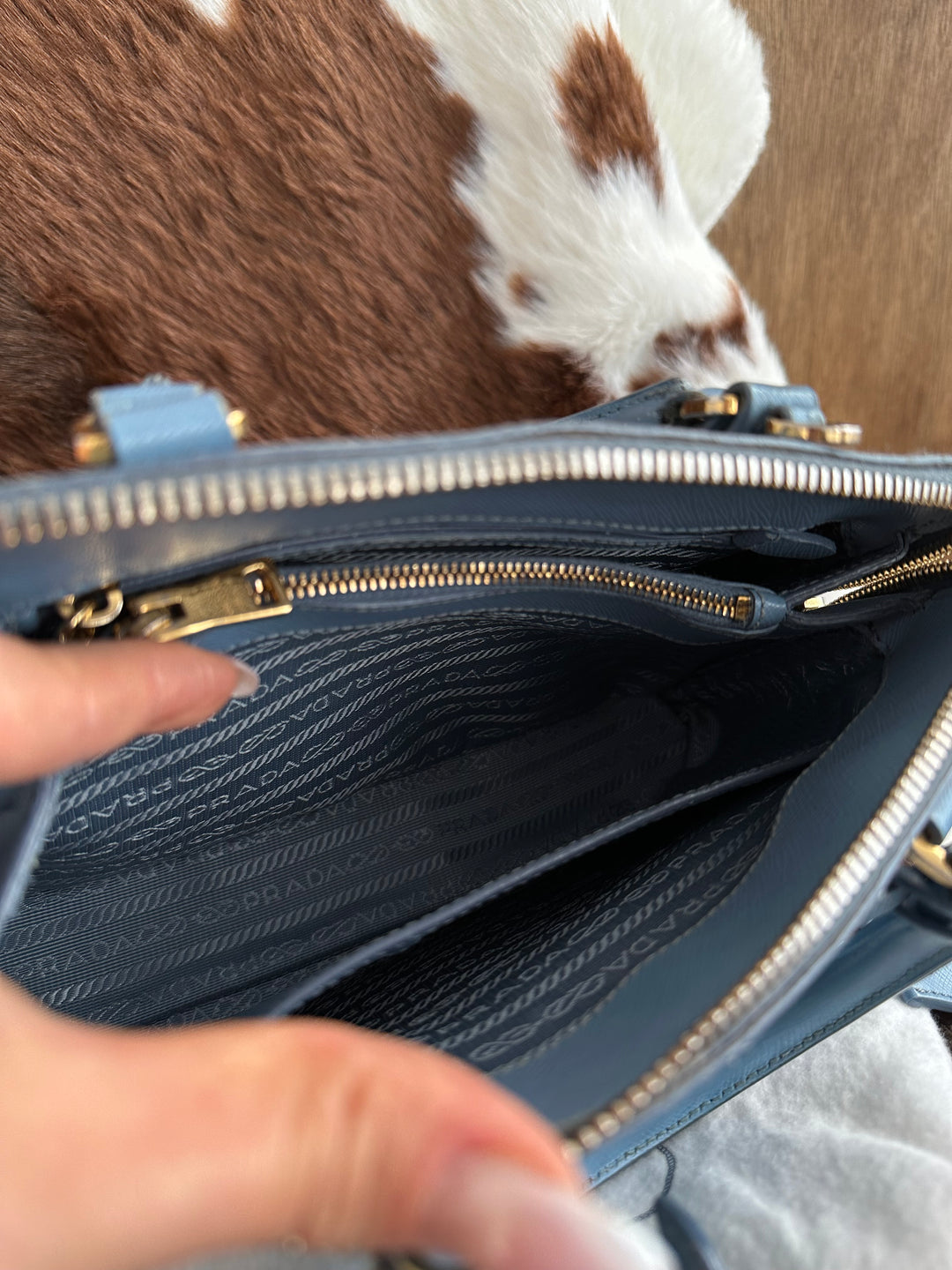 Prada Small Alma Bag 🩵😻 (Full Set)