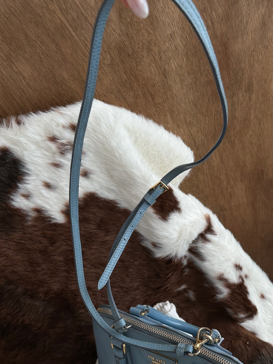 Prada Small Alma Bag 🩵😻 (Full Set)