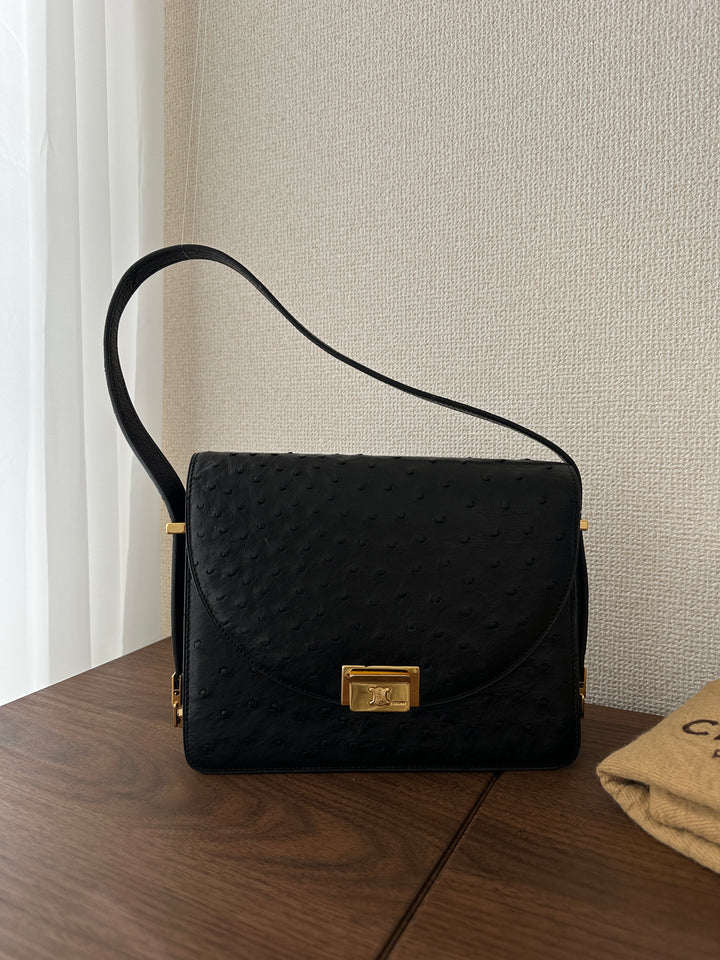 Celine Ostrich Leather Triomphe Envelope Bag 🖤✨ Rare & Collectible