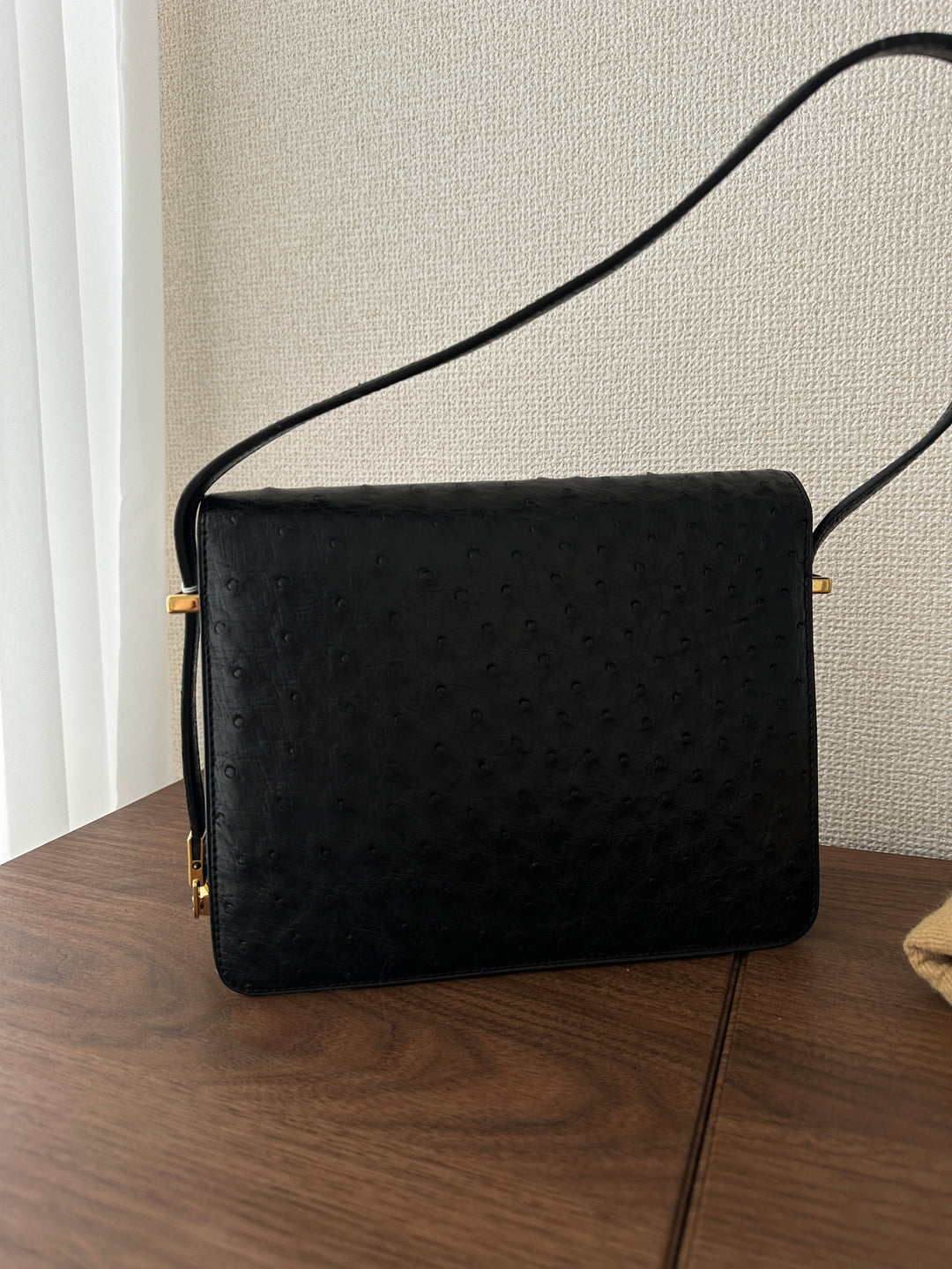 Celine Ostrich Leather Triomphe Envelope Bag 🖤✨ Rare & Collectible