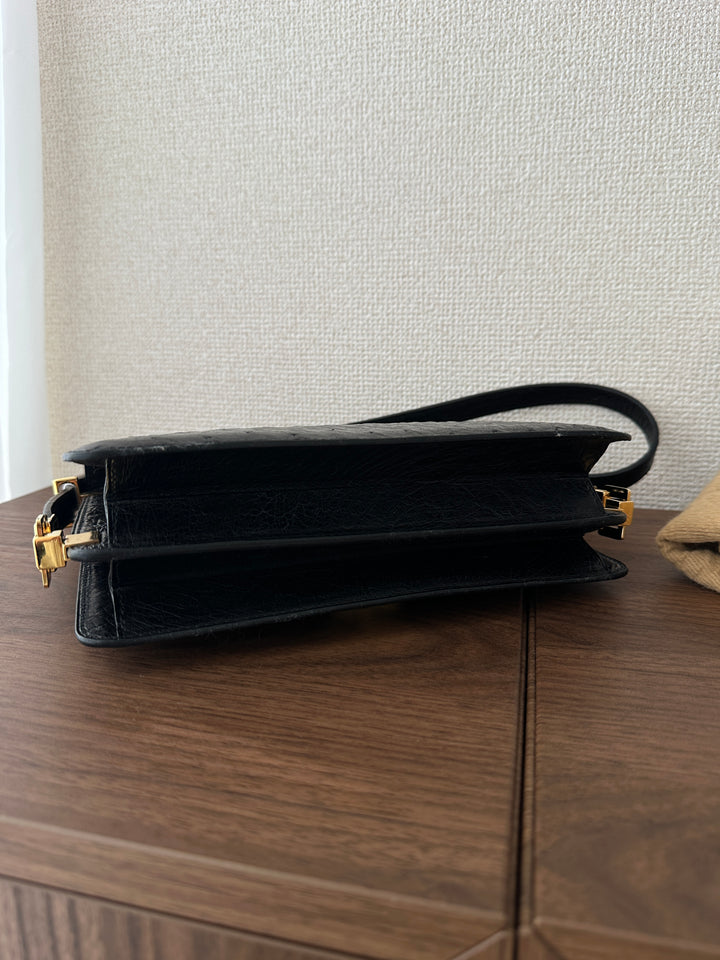 Celine Ostrich Leather Triomphe Envelope Bag 🖤✨ Rare & Collectible
