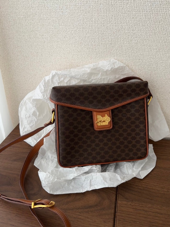 Celine Carriage Monogram Mini Box Bag 🤎✨ Rare & Collectible