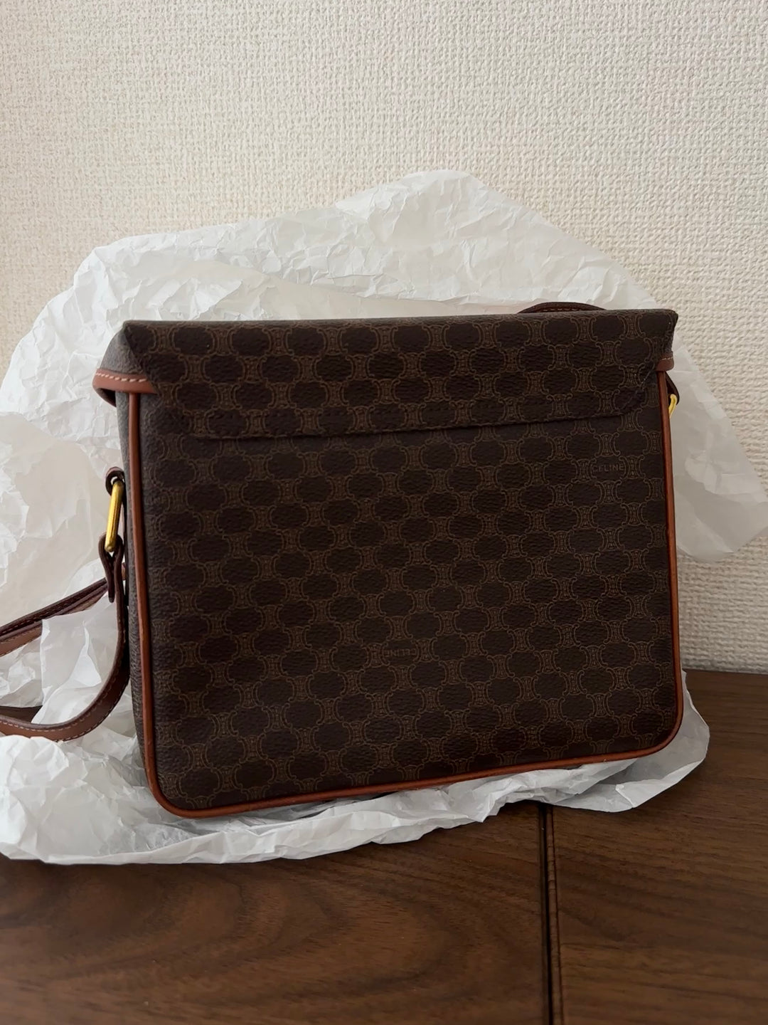 Celine Carriage Monogram Mini Box Bag 🤎✨ Rare & Collectible