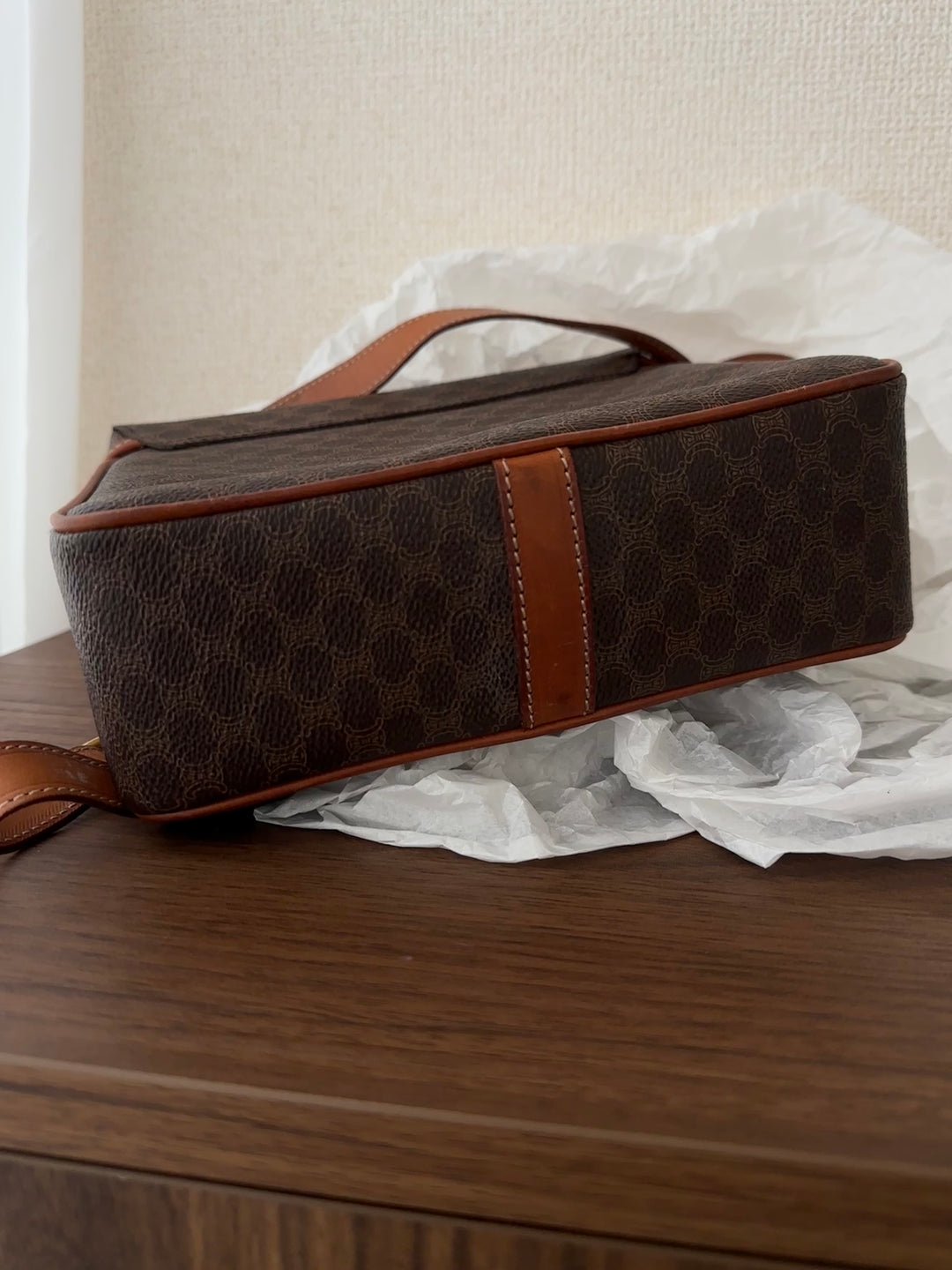 Celine Carriage Monogram Mini Box Bag 🤎✨ Rare & Collectible