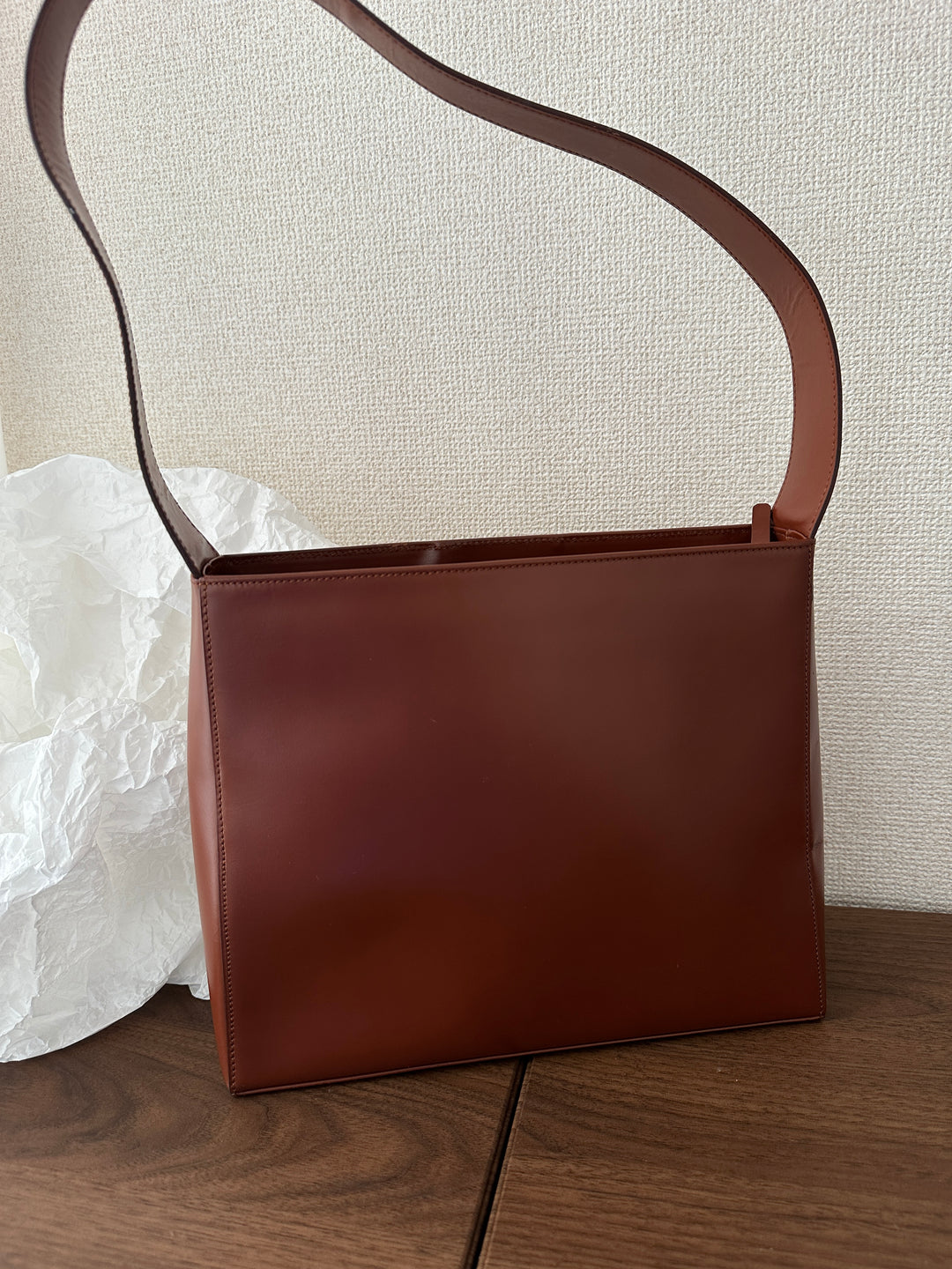 Celine Vintage Carriage Hobo 🤎 | The Epitome of Vintage Elegance✨