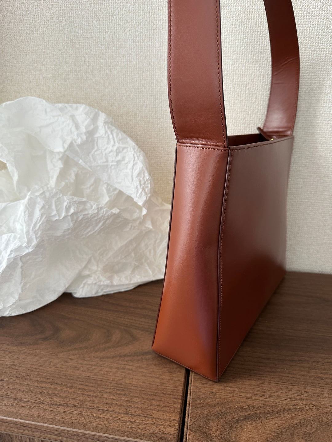 Celine Vintage Carriage Hobo 🤎 | The Epitome of Vintage Elegance✨