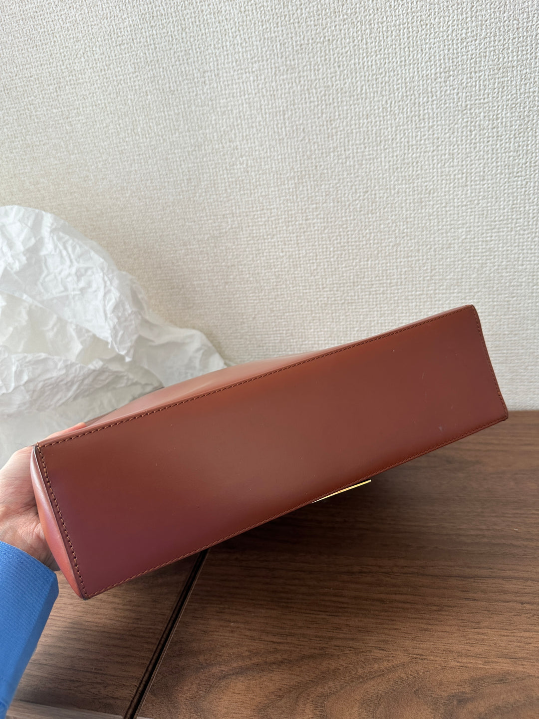 Celine Vintage Carriage Hobo 🤎 | The Epitome of Vintage Elegance✨