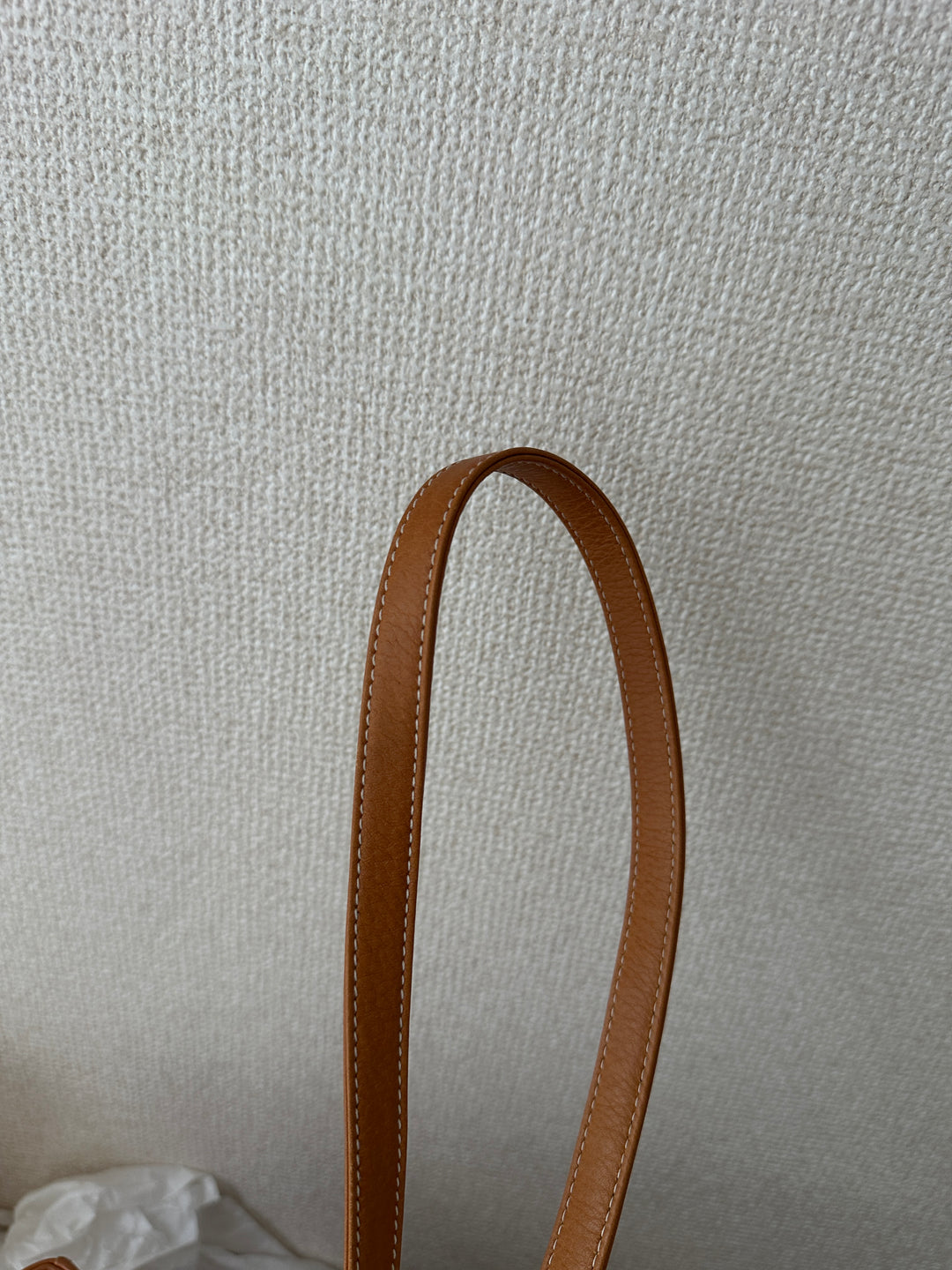 Lady Dior Caramel Brown 🤎🍂 | The Ultimate Autumn Icon✨