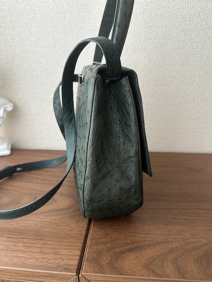 CELINE Rare Vintage Triomphe Ostrich Leather “Bone” Bag 🤎🦤 With Original Strap | Collector’s Piece