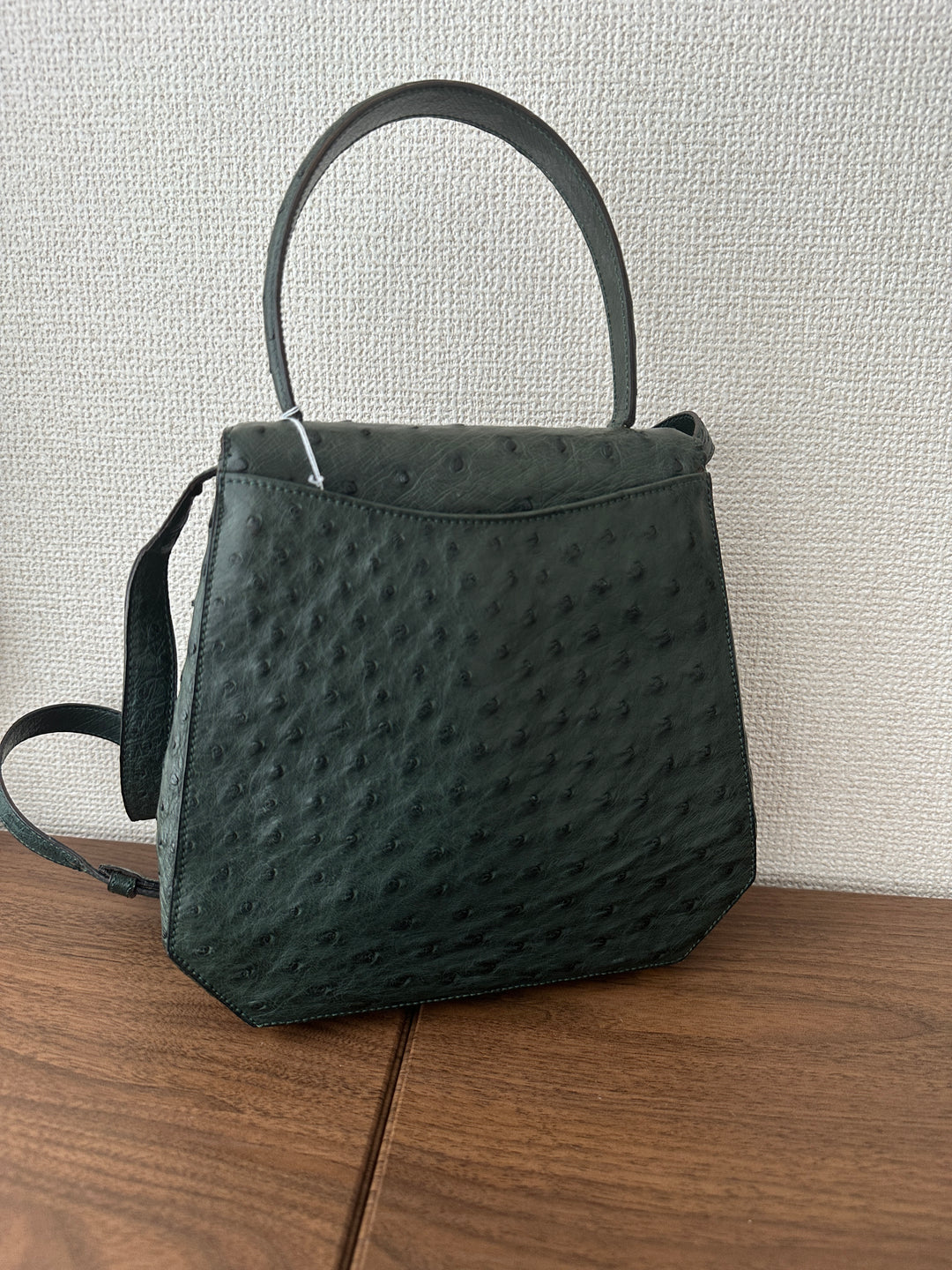 CELINE Rare Vintage Triomphe Ostrich Leather “Bone” Bag 🤎🦤 With Original Strap | Collector’s Piece