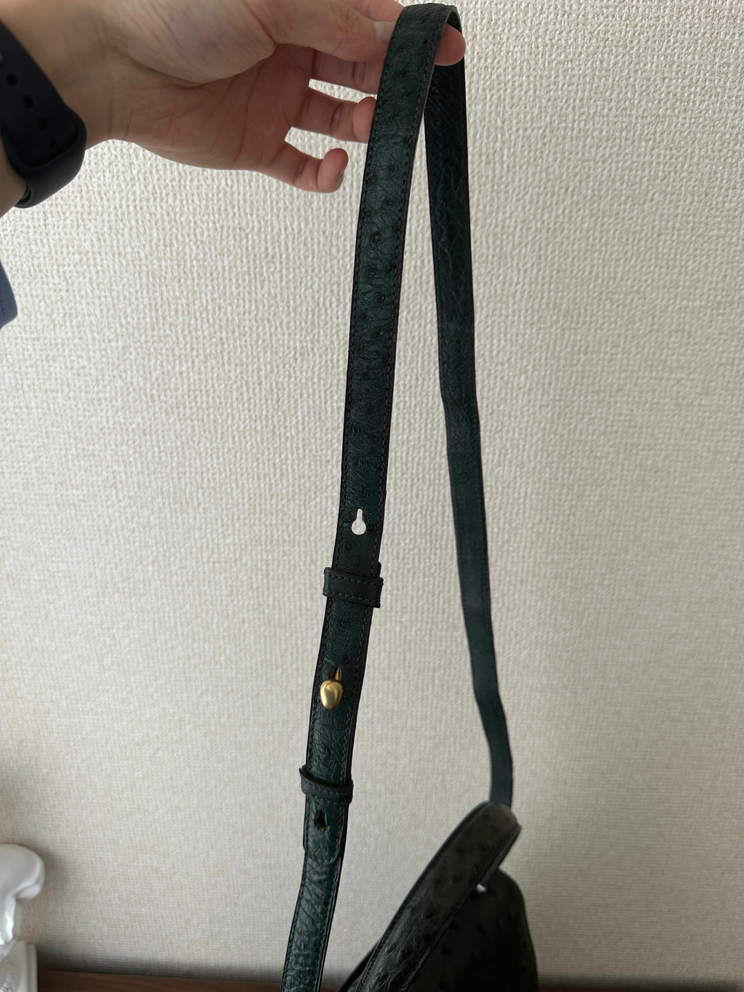 CELINE Rare Vintage Triomphe Ostrich Leather “Bone” Bag 🤎🦤 With Original Strap | Collector’s Piece