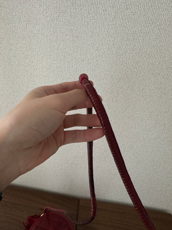 CHANEL Lizard Leather Tassel Vanity Case 💎👜 Rare Collectible Piece