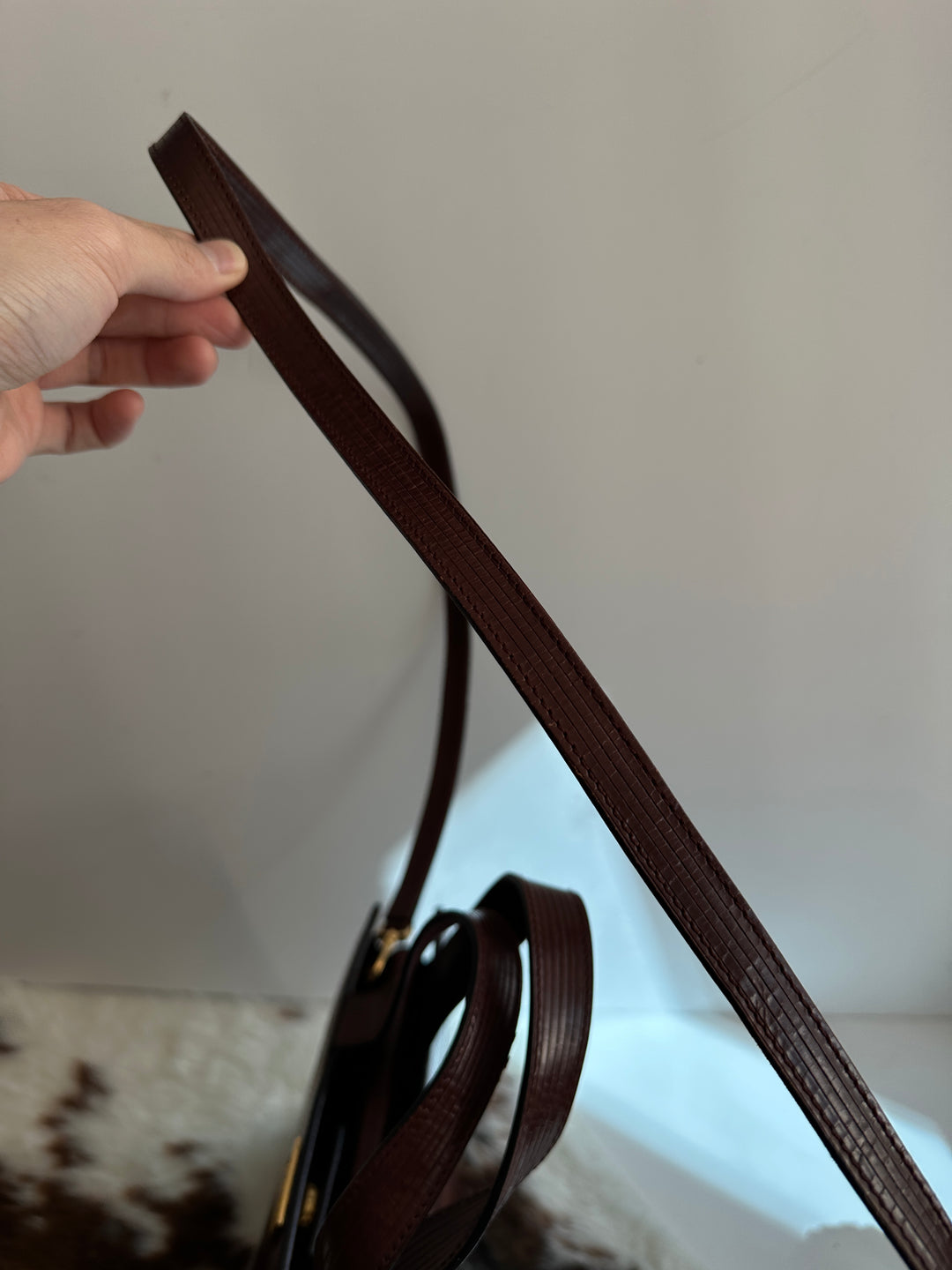 Celine Chocolate Silhouette Carriage Bag 🤎🐎 | Quiet Luxury in Motion
