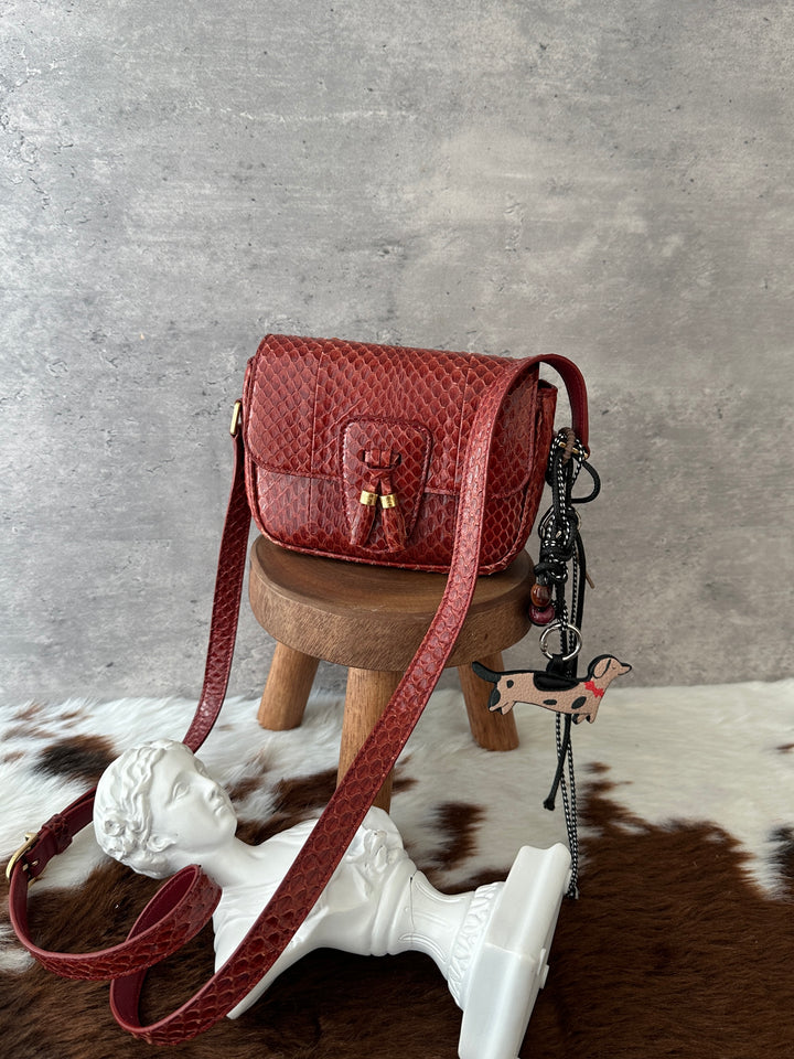 Celine Python Mini Crossbody ❤️✨｜Burgundy Python × Vintage Tassel Detail × Compact Silhouette