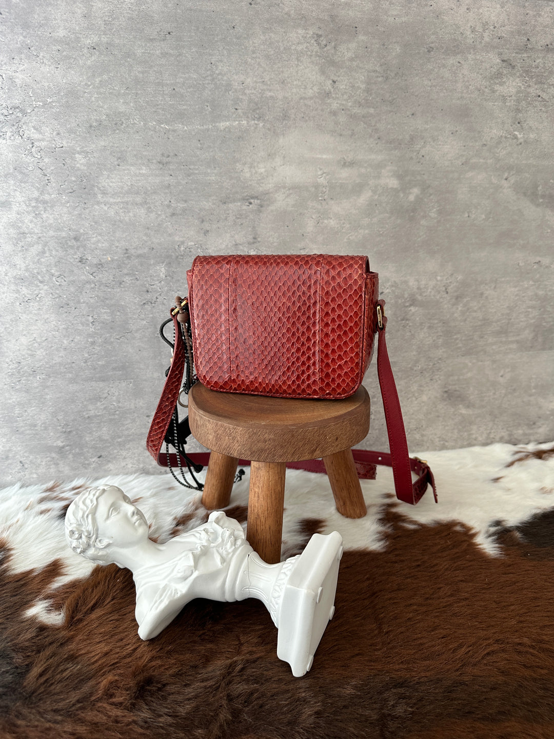 Celine Python Mini Crossbody ❤️✨｜Burgundy Python × Vintage Tassel Detail × Compact Silhouette