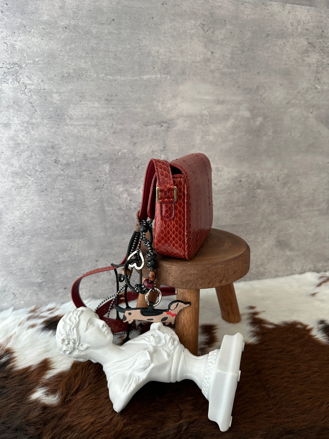 Celine Python Mini Crossbody ❤️✨｜Burgundy Python × Vintage Tassel Detail × Compact Silhouette