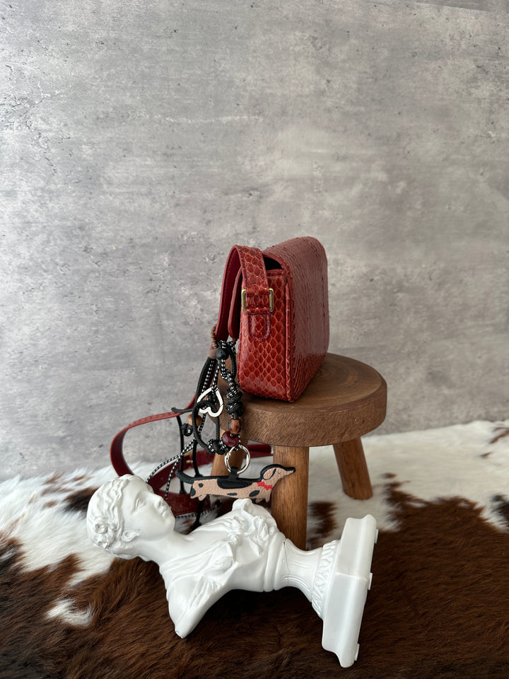 Celine Python Mini Crossbody ❤️✨｜Burgundy Python × Vintage Tassel Detail × Compact Silhouette